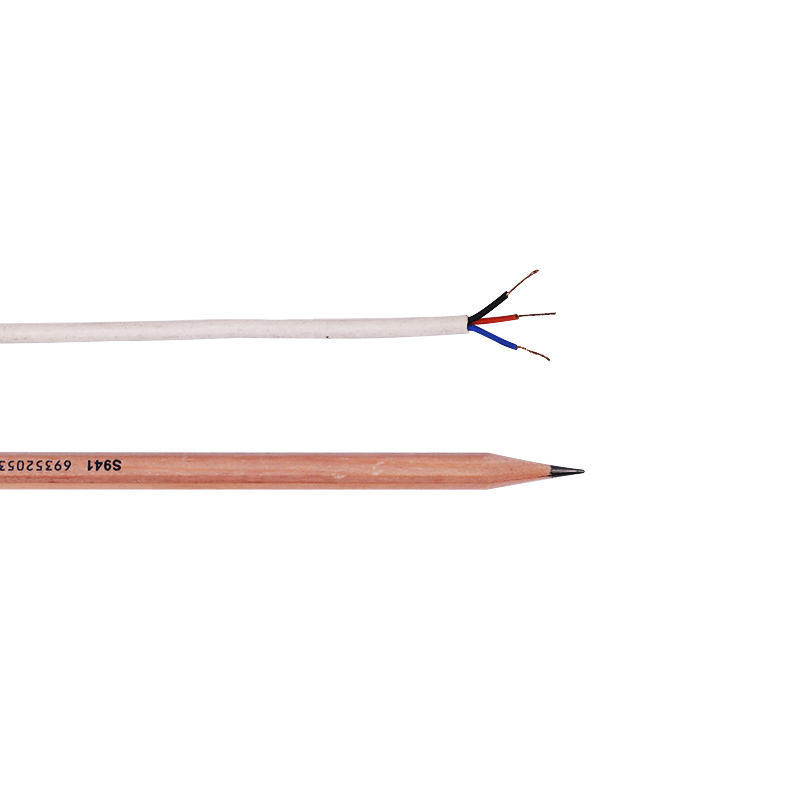 Højtemperaturbestandig Pvc Ptfe Multi-core Anti-korrosions termoelement forlængerledning