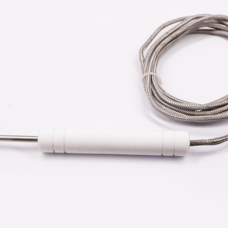 PT1000 PT100 NTC fødevaregodkendt sondetemperatursensor i rustfrit stål sondetermoelement til kødgrill og ovne