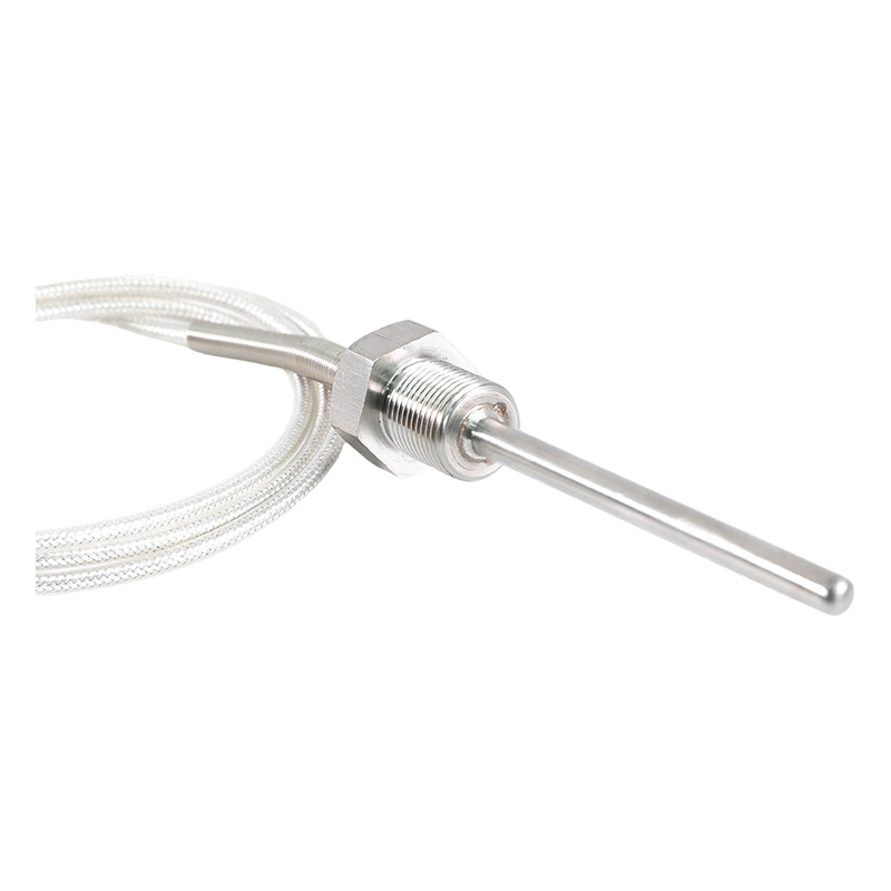 Fabriksdirekte - 200 ~ 450°C Klasse A 316 Rtd Pt100 Temperatursensor Platinum Resistance Termometer Probe 1/2