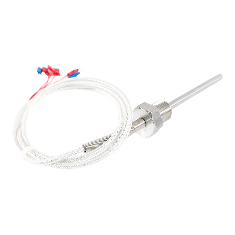 Fabriksdirekte - 200 ~ 450°C Klasse A 316 Rtd Pt100 Temperatursensor Platinum Resistance Termometer Probe 1/2