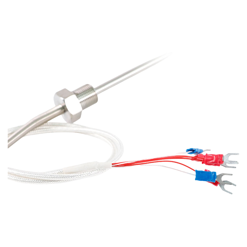 Fabriksdirekte - 200 ~ 450°C Klasse A 316 Rtd Pt100 Temperatursensor Platinum Resistance Termometer Probe 1/2